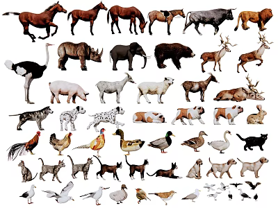 Modern Animal Horse Cat Chicken Duck Goose Elephant Big Bear Poultry Lion Rabbit 3d model