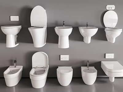 Various Types of Modern Toilets With Different Designs And Installation Styles 3d model