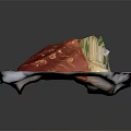 Fresh Tuna Sashimi Slices Neatly Arranged On White Plate With Green Garnish