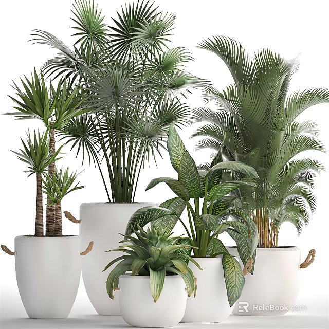 Various Types of Green Potted Plants in White Decorative Handle Pots 3d model 