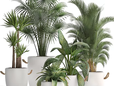 Various Types of Green Potted Plants in White Decorative Handle Pots 3d model