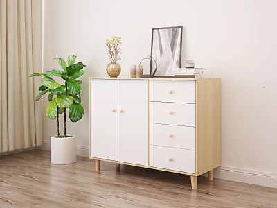 Entryway Console Cabinet with Light Wood White Design Two Doors Three Drawers and Green Plant Decor 3d model