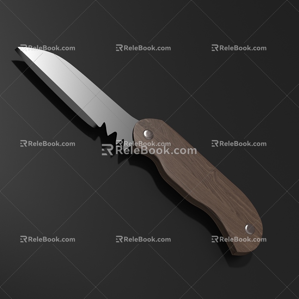 Fruit Knife Knife 3d model