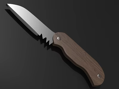Ergonomic Kitchen Knife With Wooden Handle And Stainless Steel Serrated Blade 3d model
