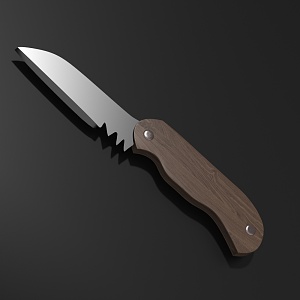 Fruit Knife 3d model