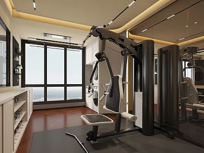 Modern Home Gym Interior With Fitness Equipment Large Windows And Wooden Flooring 3d model