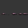 Pink Water Lily Flowers With Green Floating Leaves In Natural Environment