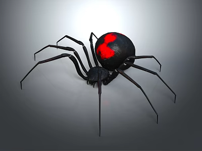 Black Widow Spider With Black Body Red Marking And Long Legs On Gray Background 3d model