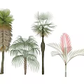 Collection of Exotic Trees with Vibrant Leaves and Distinct Trunk Structures