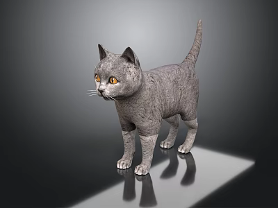 Gray Cat With Yellow Eyes Standing On Reflective Surface In Dark Background 3d model