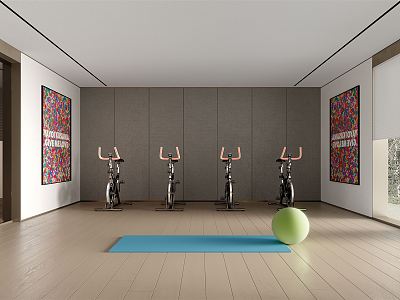 Modern Gym Fitness Room model