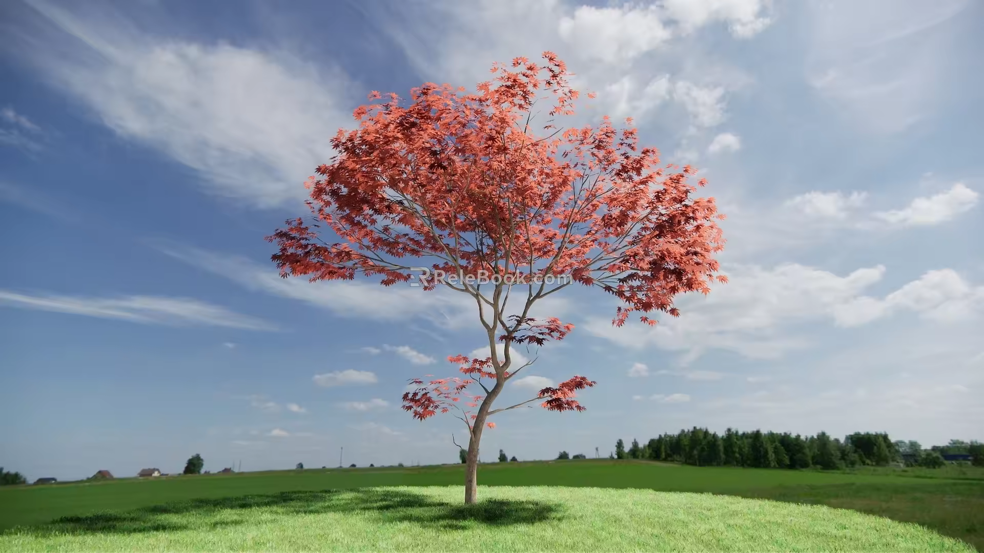 arbor SU model 3d model