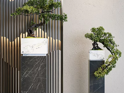 Elegant Modern Bonsai Plants On Marble Pedestals With Vertical Slats Background 3d model