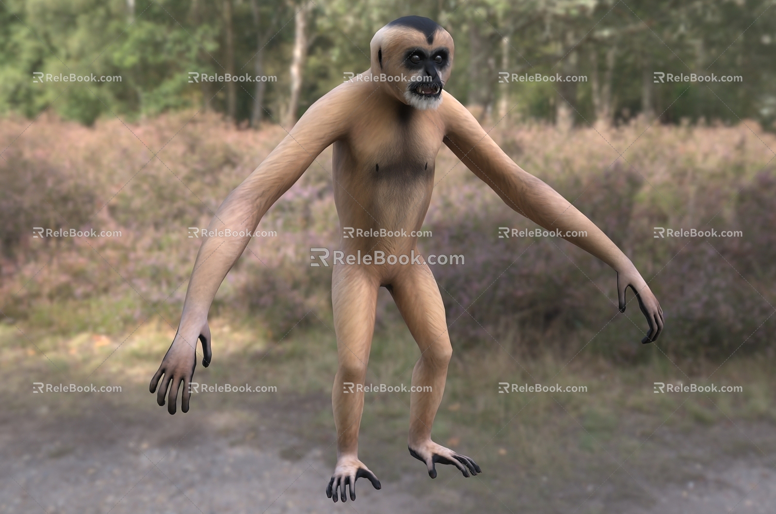 Modern northern white-cheeked gibbon animal creatures 3d model