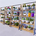 Assorted Bonsai and Potted Plants Display on Bamboo Shelves with Decorative Pots