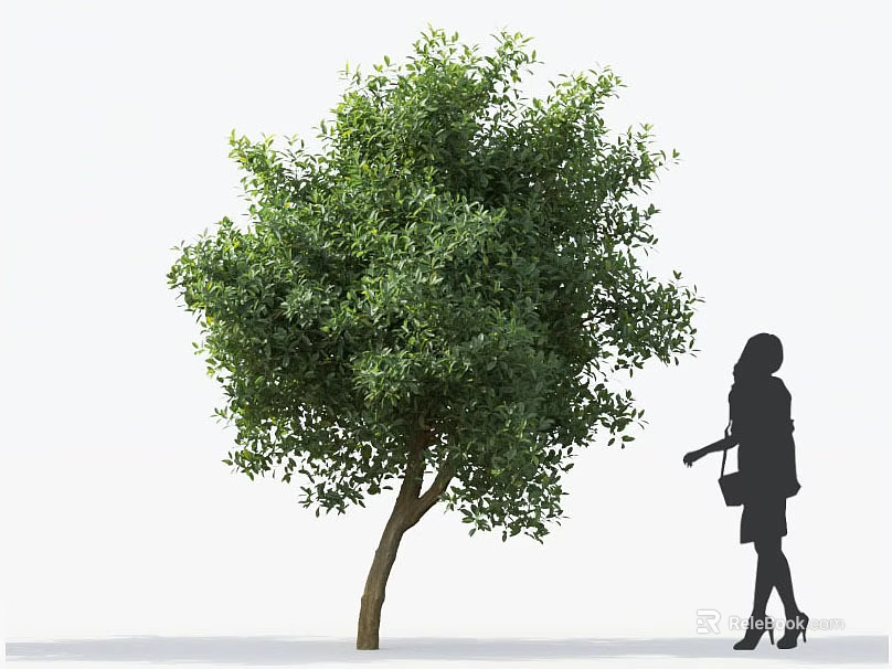 Lush Green Arbor With Brown Trunk And Standing Woman Silhouette Nearby 3d model 