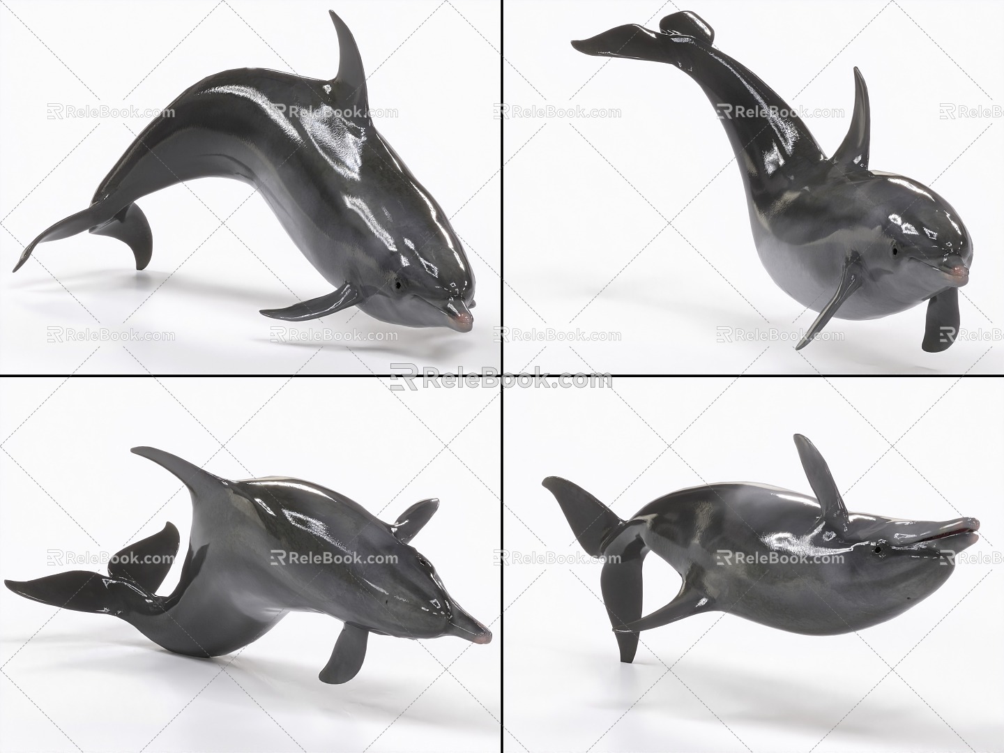 Dolphin with binding and animated porpoise 3d model