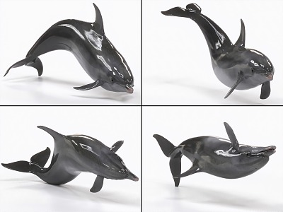 Dolphin with binding and animated porpoise 3d model