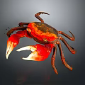 Vibrant Red And Orange Crab With Large Claws Isolated On Gray Background Close Up View
