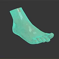 Man's Light Brown Foot 3D Model With Realistic Anatomical Details And Reflection On Black Background
