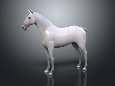 Realistic 3D Rendered White Horse Standing On Dark Background With Reflection 3d model