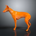 Orange Dog Standing Pose Against Dark Gray Background With Reflective Surface 3d model