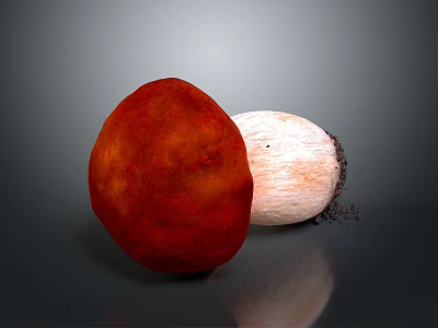 Red And White Mushroom Plant With Textured Caps And Soil Covered Stems On Gray Background 3d model