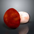 Red And White Mushroom Plant With Textured Caps And Soil Covered Stems On Gray Background