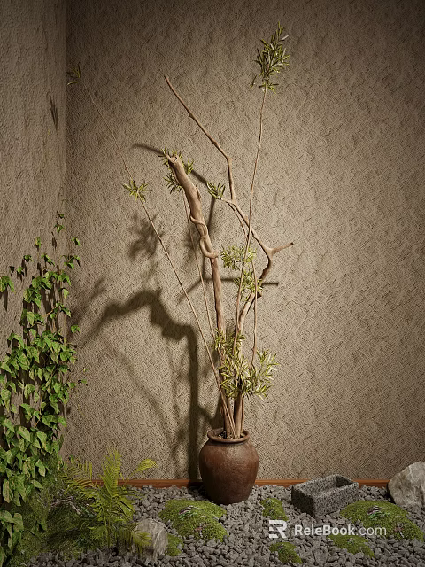 Tall Bonsai Potted Plant With Long Branches And Green Leaves Against Textured Wall 3d model 