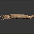 Detailed Copper Colored Spider Model Featuring Long Legs On Reflective Dark Background