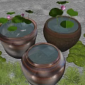 Garden Ornaments Ceramic Jars With Water Lotus Leaves Pink Flowers Green Plants And Moss