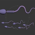 Microscopic Medical Device for Sperm Observation in Reproductive Health Clinical Analysis