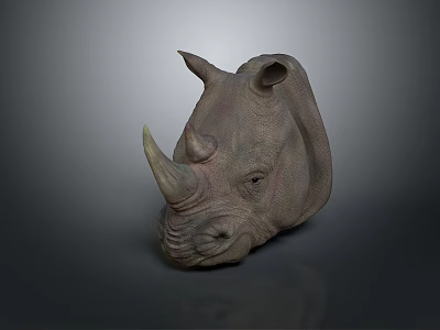Realistic 3D Rhino Head Model with Detailed Texture on Gray Background 3d model