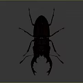 Detailed Blue Stag Beetle With Large Mandibles On Gray Gradient Background 3d model
