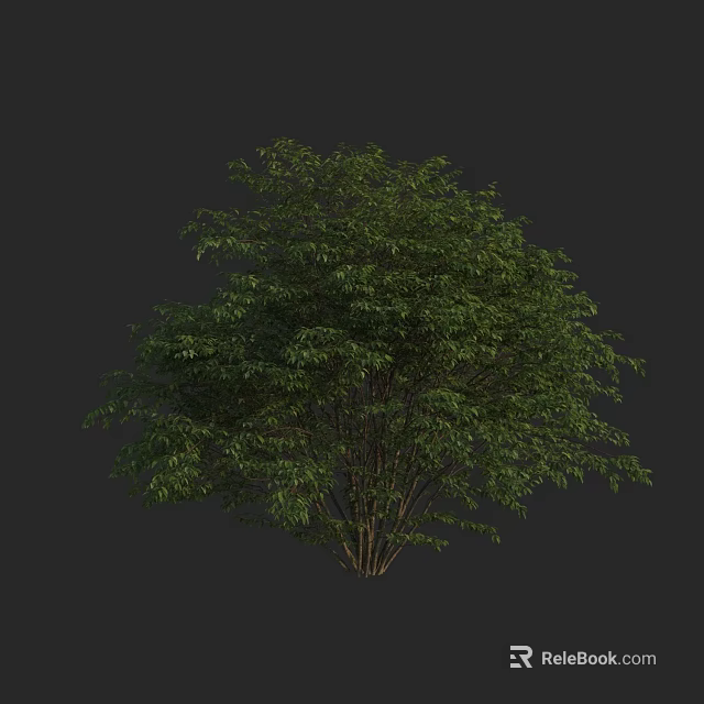 Lush Green Leafy Shrub With Dense Foliage And Multiple Stems 3d model
