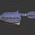 Blue And Red Striped Fish Like Creature With Pointed Snout Red Openings On Gray Background