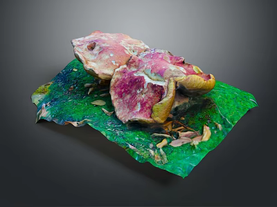 Vibrant Floral Display On Green Leafy Base With Pink Purple Blooms And Yellow Accents 3d model