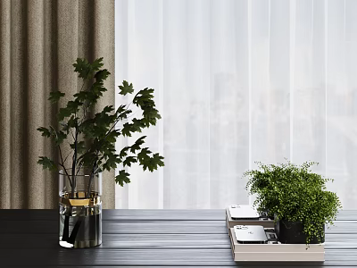 Transparent Vase With Green Foliage On Dark Table And Small Plant In Tray By Window 3d model