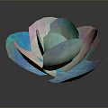 Artistic Translucent Flower With Colorful Blue Pink White Petals On Dark Background