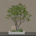 Lush Leafy Tree Round White Object Green Plants and Purple Flowers on Light Colored Wall
