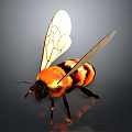 Detailed Realistic Bee with Orange Black Body and Transparent Textured Wings on Dark Background