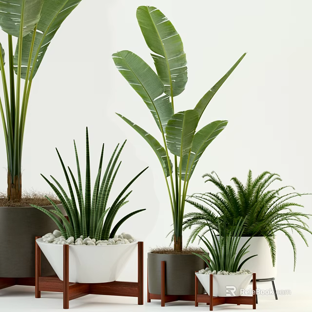 Indoor Potted Plants Collection with Large Leaves Slender Foliage and Ferns in White Dark Pots 3d model 