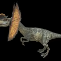 Double Crest Dragon Double Crowned Dragon Dinosaur Reptile Ancient Biology Meat-eating Dinosaur Jurassic Low Face Number Low Model Simple Model Game Movie and TV Level Super Realistic 3d model