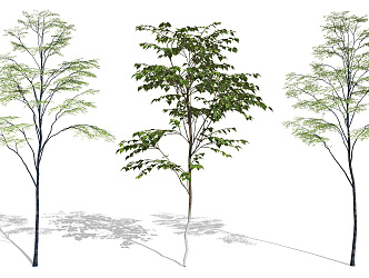 modern tree landscape tree landscape plant hackberry potted plant 3d model