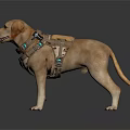 Yellow Labrador Retriever Wearing Tactical Harness with Green Light Equipment