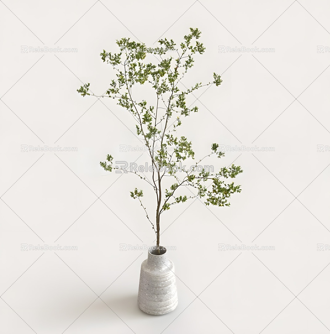 Modern Plant Potted Plant Green Plant Tree Bonsai Landscape Flower Pot 3d model