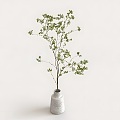 Modern Plant Potted Plant Green Plant Tree Bonsai Landscape Flower Pot 3d model