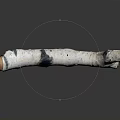 Handcrafted Curved Birch Wood Artifact With Natural Stone Inlays And Black Spot Textures