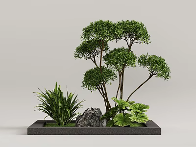 Garden Landscape with Square Planter Pruned Spherical Trees Green Grassy Plants Stone and Large Leaves 3d model