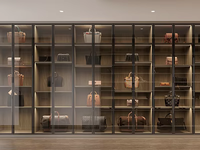 Modern Closet With Glass Doors And Handbags 3d model
